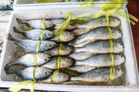 제주상회 